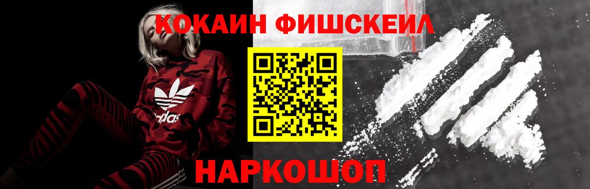 Cocaine FishScale  COCAIN  Гатчина 