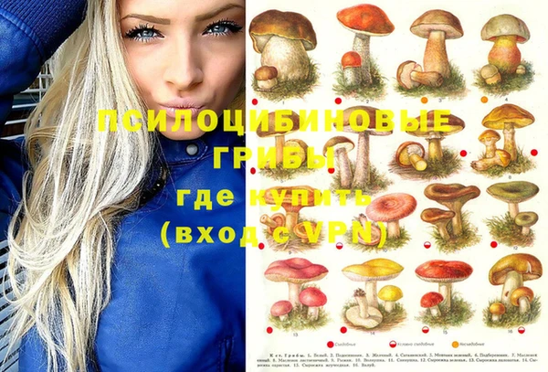 дмт Балахна