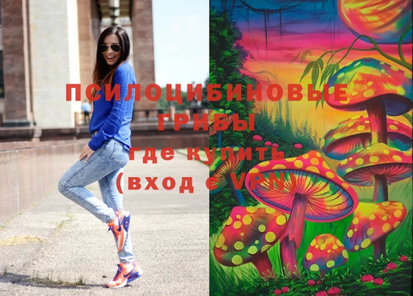 дмт Балахна