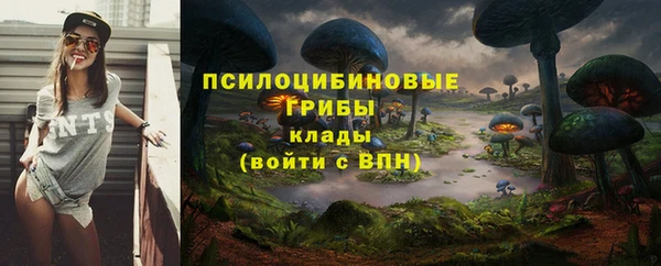 дмт Балахна