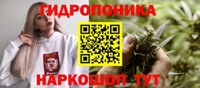 стаф Балахна