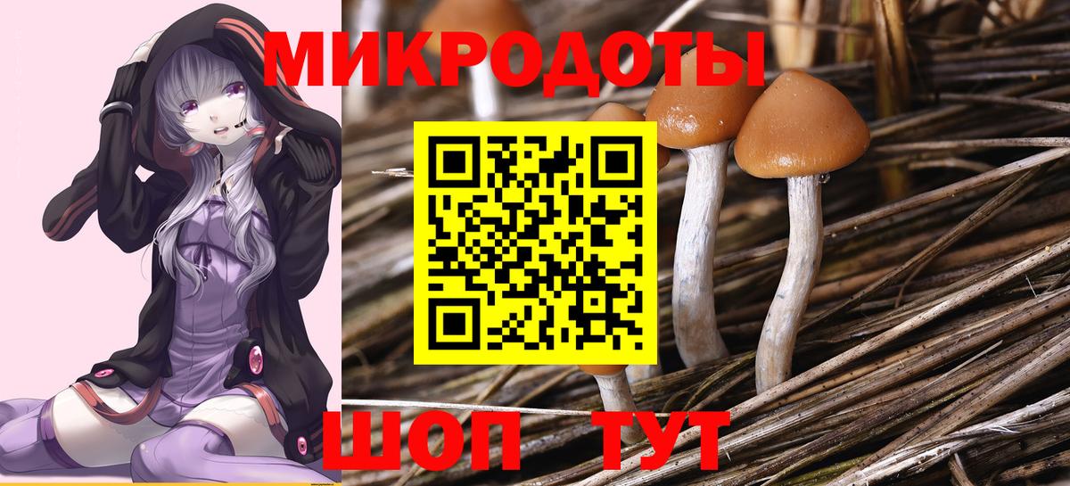 Псилоцибиновые грибы MAGIC MUSHROOMS Гатчина