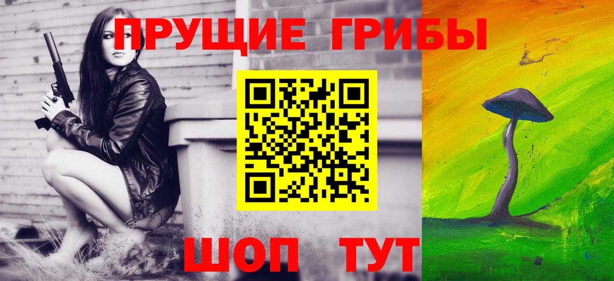 Гатчина  наркота  Вход с VPN  Галлюциногенные грибы MAGIC MUSHROOMS 